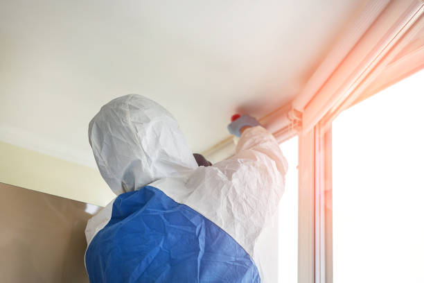 Best Mold Damage Restoration in USA